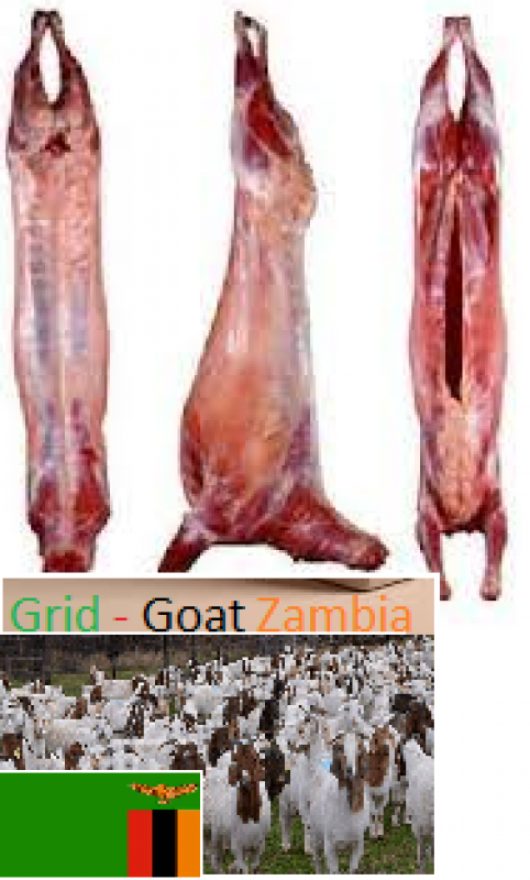 ZIEGENFLEISCH from Sambia